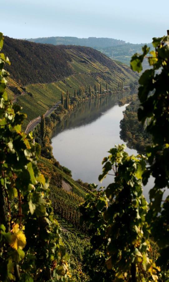 Weingut Berweiler Otel Klusserath Dış mekan fotoğraf